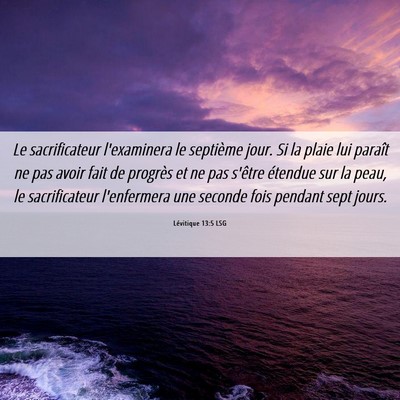 Picture 06 - Lévitique 13:5 LSG - Le sacrificateur l'examinera le septième jour. - Bible Verse Picture