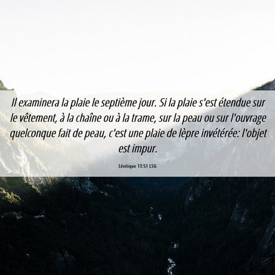 Picture 06 - Lévitique 13:51 LSG - Il examinera la plaie le septième jour. Si la - Bible Verse Picture