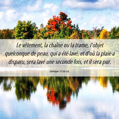 Picture 06 - Lévitique 13:58 LSG - Le vêtement, la chaîne ou la trame, l'objet - Bible Verse Picture