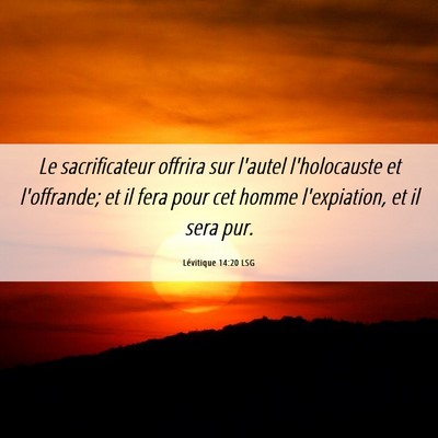 Picture 06 - Lévitique 14:20 LSG - Le sacrificateur offrira sur l'autel l'holocauste - Bible Verse Picture