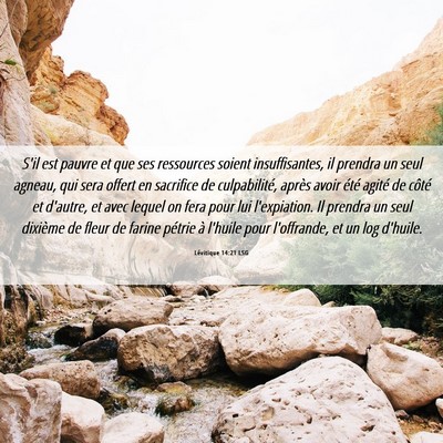Picture 06 - Lévitique 14:21 LSG - S'il est pauvre et que ses ressources soient - Bible Verse Picture