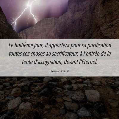 Picture 06 - Lévitique 14:23 LSG - Le huitième jour, il apportera pour sa - Bible Verse Picture