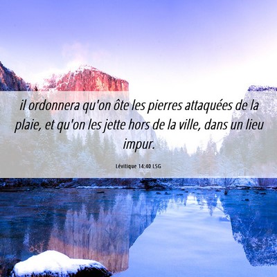 Picture 06 - Lévitique 14:40 LSG - il ordonnera qu'on ôte les pierres attaquées de - Bible Verse Picture