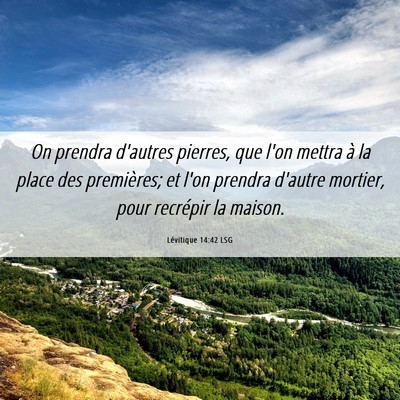 Picture 06 - Lévitique 14:42 LSG - On prendra d'autres pierres, que l'on mettra à - Bible Verse Picture