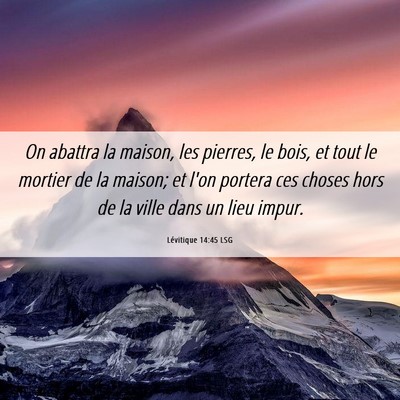 Picture 06 - Lévitique 14:45 LSG - On abattra la maison, les pierres, le bois, et - Bible Verse Picture