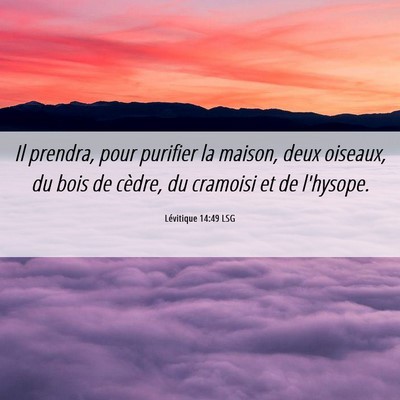 Picture 06 - Lévitique 14:49 LSG - Il prendra, pour purifier la maison, deux - Bible Verse Picture