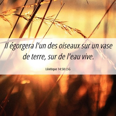 Picture 06 - Lévitique 14:50 LSG - Il égorgera l'un des oiseaux sur un vase de - Bible Verse Picture