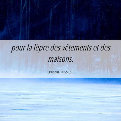 Picture 06 - Lévitique 14:55 LSG - pour la lèpre des vêtements et des - Bible Verse Picture