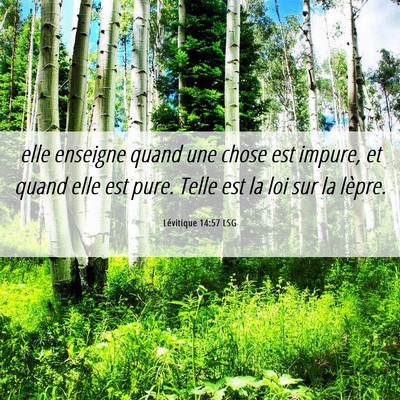 Picture 06 - Lévitique 14:57 LSG - elle enseigne quand une chose est impure, et - Bible Verse Picture