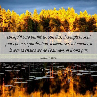 Picture 06 - Lévitique 15:13 LSG - Lorsqu'il sera purifié de son flux, il comptera - Bible Verse Picture