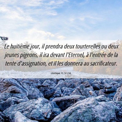 Picture 06 - Lévitique 15:14 LSG - Le huitième jour, il prendra deux tourterelles - Bible Verse Picture