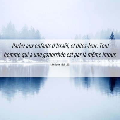 Picture 06 - Lévitique 15:2 LSG - Parlez aux enfants d'Israël, et dites-leur: Tout - Bible Verse Picture