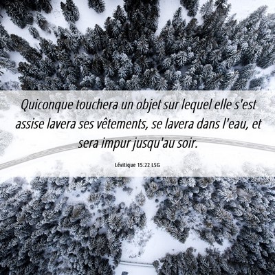 Picture 06 - Lévitique 15:22 LSG - Quiconque touchera un objet sur lequel elle s'est - Bible Verse Picture