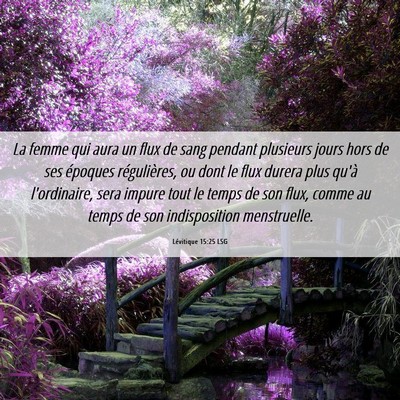 Picture 06 - Lévitique 15:25 LSG - La femme qui aura un flux de sang pendant - Bible Verse Picture