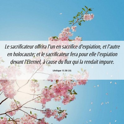 Picture 06 - Lévitique 15:30 LSG - Le sacrificateur offrira l'un en sacrifice - Bible Verse Picture