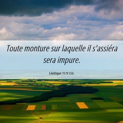 Picture 06 - Lévitique 15:9 LSG - Toute monture sur laquelle il s'assiéra sera - Bible Verse Picture