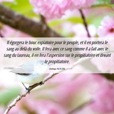 Picture 06 - Lévitique 16:15 LSG - Il égorgera le bouc expiatoire pour le peuple, - Bible Verse Picture
