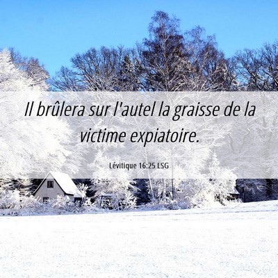 Picture 06 - Lévitique 16:25 LSG - Il brûlera sur l'autel la graisse de la victime - Bible Verse Picture