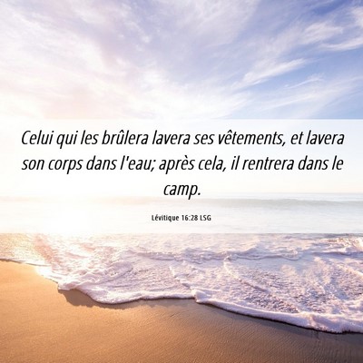 Picture 06 - Lévitique 16:28 LSG - Celui qui les brûlera lavera ses vêtements, et - Bible Verse Picture