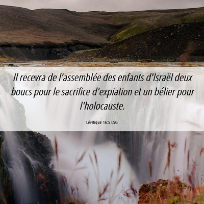 Picture 06 - Lévitique 16:5 LSG - Il recevra de l'assemblée des enfants d'Israël - Bible Verse Picture