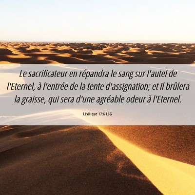 Picture 06 - Lévitique 17:6 LSG - Le sacrificateur en répandra le sang sur l'autel - Bible Verse Picture