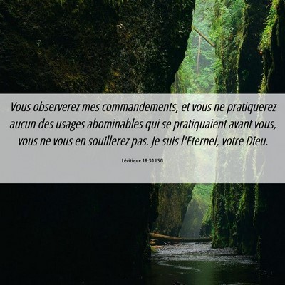 Picture 06 - Lévitique 18:30 LSG - Vous observerez mes commandements, et vous ne - Bible Verse Picture