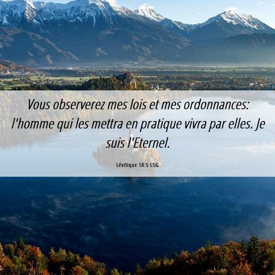 Picture 06 - Lévitique 18:5 LSG - Vous observerez mes lois et mes ordonnances: - Bible Verse Picture