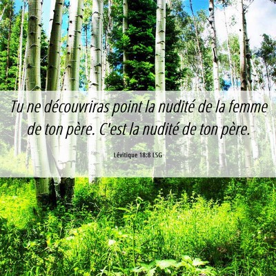 Picture 06 - Lévitique 18:8 LSG - Tu ne découvriras point la nudité de la femme - Bible Verse Picture