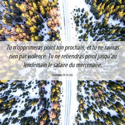 Picture 06 - Lévitique 19:13 LSG - Tu n'opprimeras point ton prochain, et tu ne - Bible Verse Picture