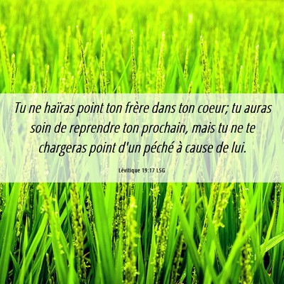 Picture 06 - Lévitique 19:17 LSG - Tu ne haïras point ton frère dans ton coeur; tu - Bible Verse Picture