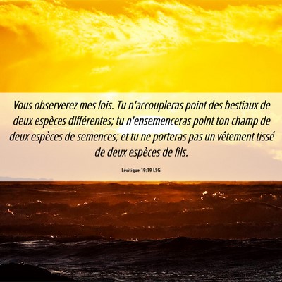 Picture 06 - Lévitique 19:19 LSG - Vous observerez mes lois. Tu n'accoupleras point - Bible Verse Picture