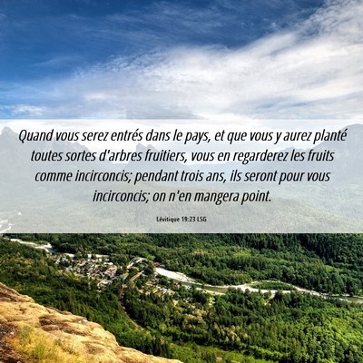 Picture 06 - Lévitique 19:23 LSG - Quand vous serez entrés dans le pays, et que - Bible Verse Picture