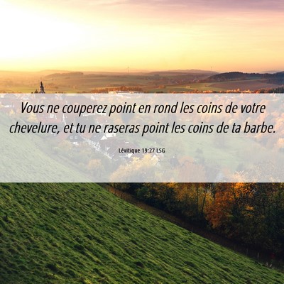 Picture 06 - Lévitique 19:27 LSG - Vous ne couperez point en rond les coins de votre - Bible Verse Picture