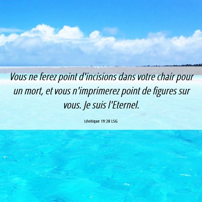 Picture 06 - Lévitique 19:28 LSG - Vous ne ferez point d'incisions dans votre chair - Bible Verse Picture
