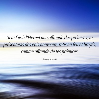 Picture 06 - Lévitique 2:14 LSG - Si tu fais à l'Eternel une offrande des - Bible Verse Picture
