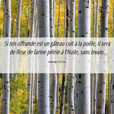 Picture 06 - Lévitique 2:5 LSG - Si ton offrande est un gâteau cuit à la poêle, - Bible Verse Picture