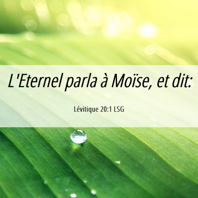 Picture 06 - Lévitique 20:1 LSG - L'Eternel parla à Moïse, et - Bible Verse Picture