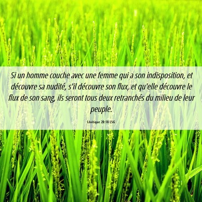 Picture 06 - Lévitique 20:18 LSG - Si un homme couche avec une femme qui a son - Bible Verse Picture
