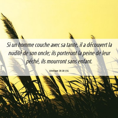 Picture 06 - Lévitique 20:20 LSG - Si un homme couche avec sa tante, il a découvert - Bible Verse Picture