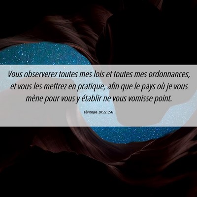 Picture 06 - Lévitique 20:22 LSG - Vous observerez toutes mes lois et toutes mes - Bible Verse Picture