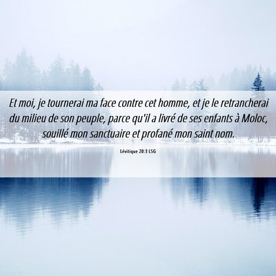 Picture 06 - Lévitique 20:3 LSG - Et moi, je tournerai ma face contre cet homme, et - Bible Verse Picture
