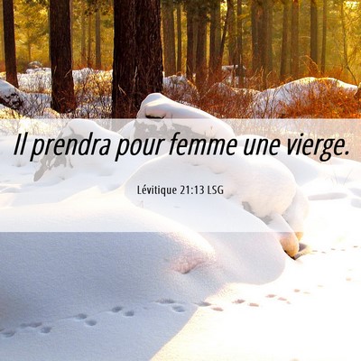 Picture 06 - Lévitique 21:13 LSG - Il prendra pour femme une - Bible Verse Picture