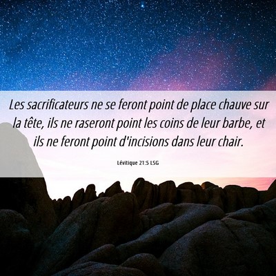 Picture 06 - Lévitique 21:5 LSG - Les sacrificateurs ne se feront point de place - Bible Verse Picture