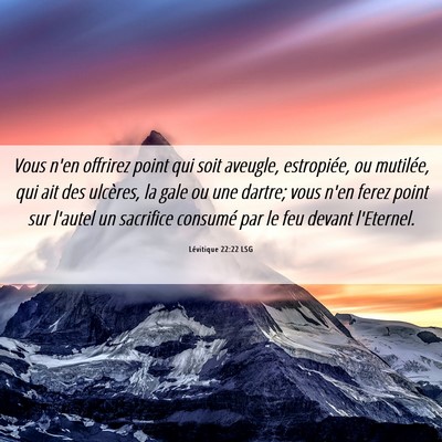 Picture 06 - Lévitique 22:22 LSG - Vous n'en offrirez point qui soit aveugle, - Bible Verse Picture