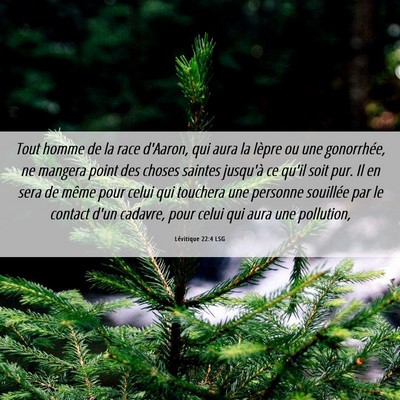 Picture 06 - Lévitique 22:4 LSG - Tout homme de la race d'Aaron, qui aura la lèpre - Bible Verse Picture