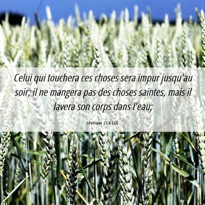 Picture 06 - Lévitique 22:6 LSG - Celui qui touchera ces choses sera impur jusqu'au - Bible Verse Picture