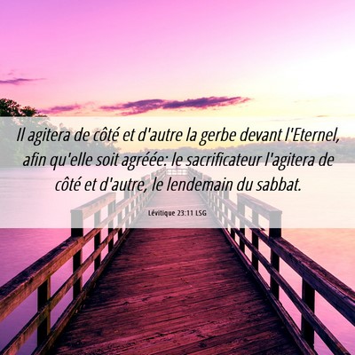 Picture 06 - Lévitique 23:11 LSG - Il agitera de côté et d'autre la gerbe devant - Bible Verse Picture