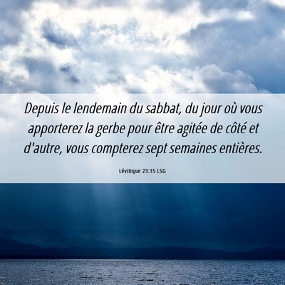Picture 06 - Lévitique 23:15 LSG - Depuis le lendemain du sabbat, du jour où vous - Bible Verse Picture