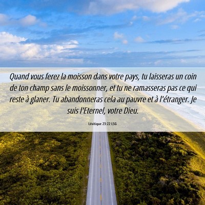 Picture 06 - Lévitique 23:22 LSG - Quand vous ferez la moisson dans votre pays, tu - Bible Verse Picture