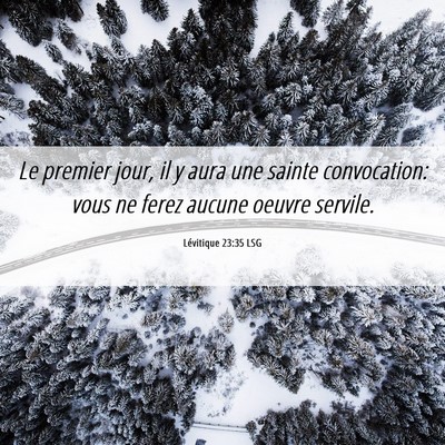 Picture 06 - Lévitique 23:35 LSG - Le premier jour, il y aura une sainte - Bible Verse Picture